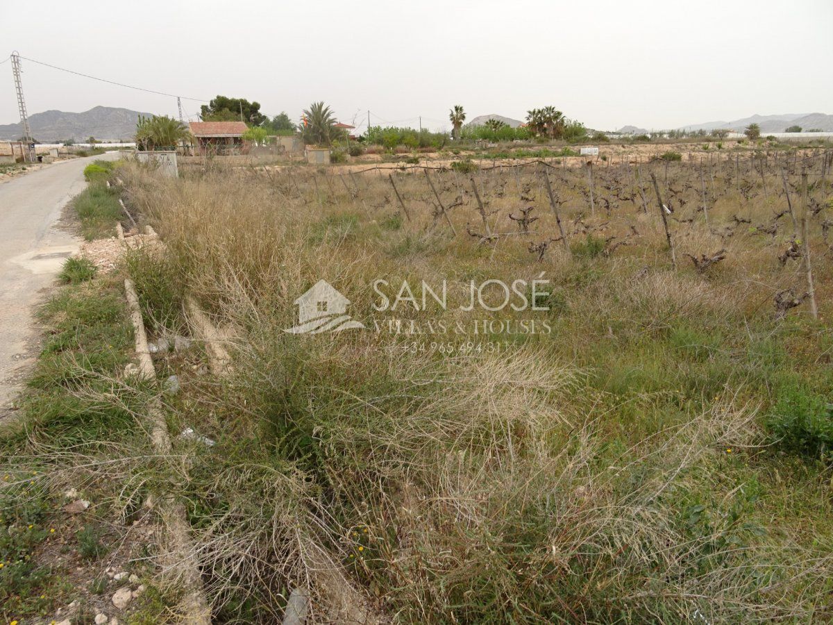 Terrain dans Novelda, Alicante à vendre Plan de site– Image 1 sur 9