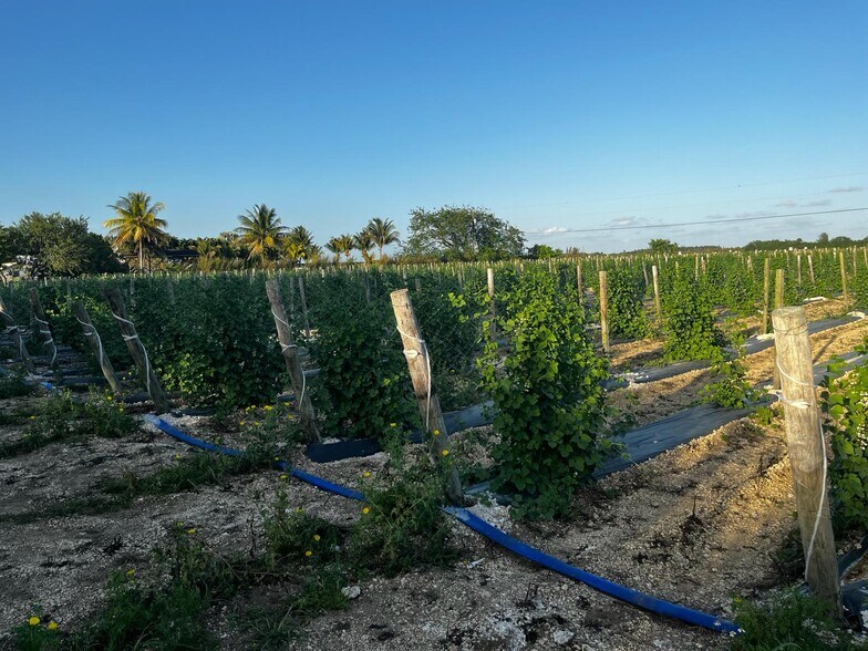 35300 212th ave, Homestead, FL à louer - Photo de l’immeuble – Image 3 sur 5