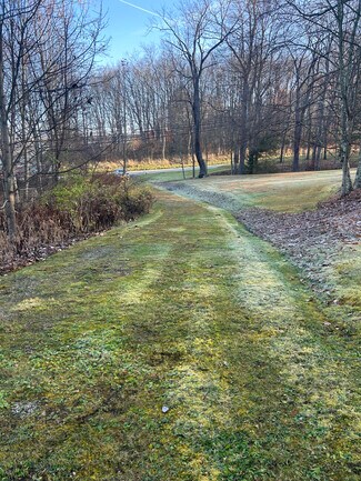 Plus de détails pour 4406 National Pike, Markleysburg, PA - Terrain à vendre