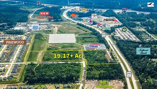 Plus de détails pour 19.175-Ac 242 hwy, New Caney, TX - Terrain à vendre