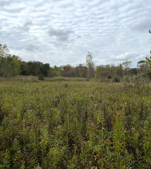 0 Whitmore Lake Rd, Whitmore Lake, MI à vendre - Photo de l’immeuble – Image 2 sur 5
