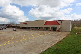 Plus de détails pour 5766-5790 Us-11 Hwy, Springville, AL - Local commercial à louer