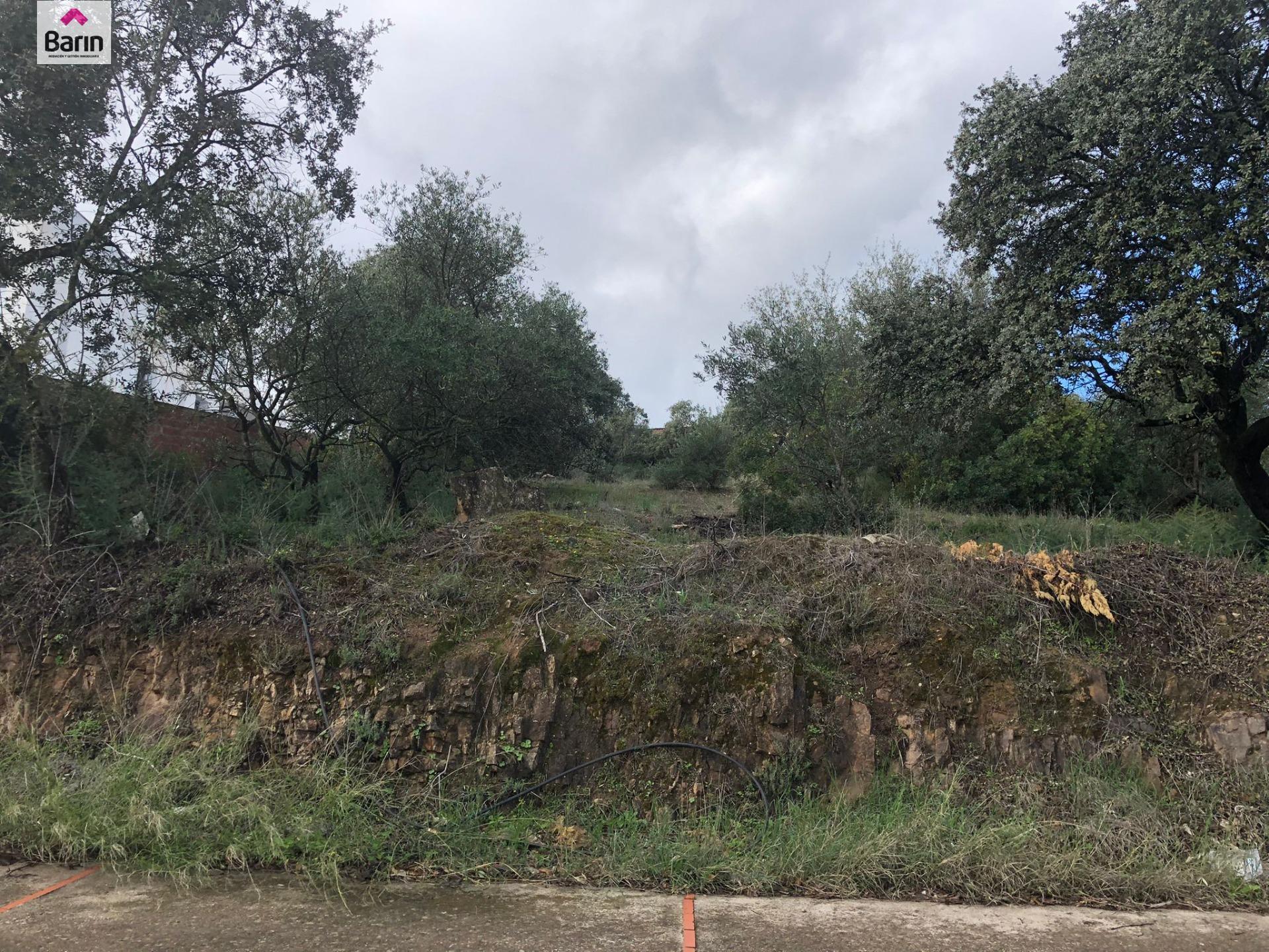 Terrain dans Córdoba, Córdoba à vendre Plan de site– Image 1 sur 5