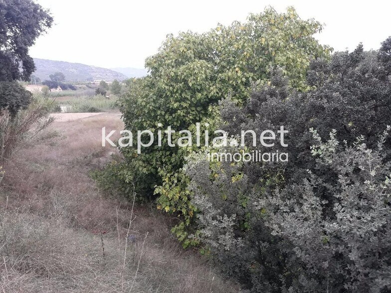 Terrain dans LA, Valencia à vendre - Photo principale – Image 2 sur 5