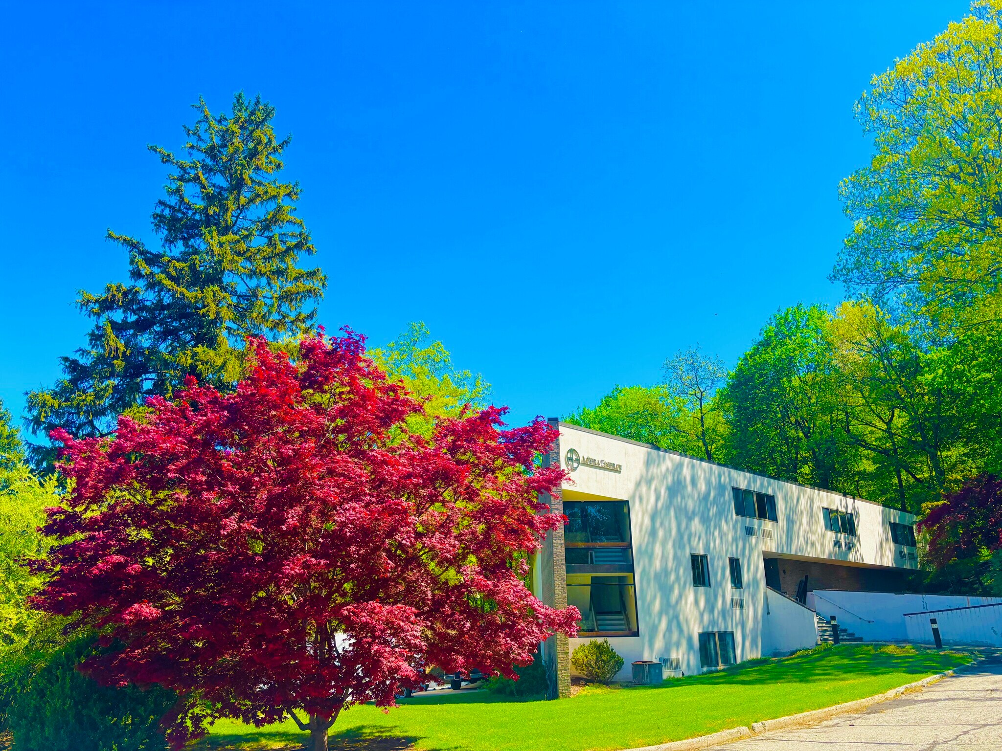 555 Pleasantville Rd, Briarcliff Manor, NY à louer Photo de l’immeuble– Image 1 sur 4