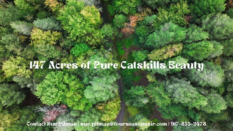 480 Breezy Hill Rd, Parksville, NY à vendre - Vidéo sur l’annonce professionnelle – Image 1 sur 2