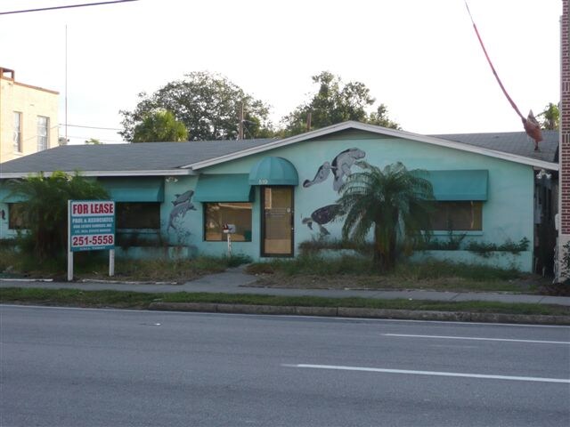 519 N Howard Ave, Tampa, FL à louer - Photo de l’immeuble – Image 2 sur 3
