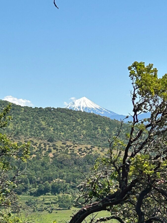 View Photo