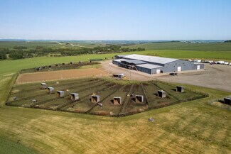 Plus de détails pour 3245 Township Road 292, Madden, AB - Sports et loisirs à vendre