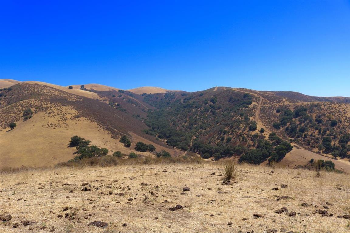 View Photo