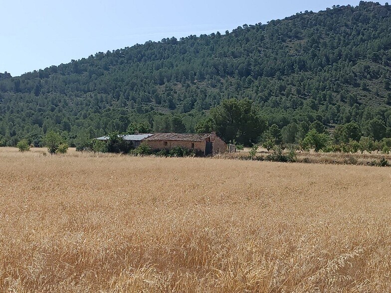 Terrain dans Yecla, Murcia à vendre - Photo de l’immeuble – Image 3 sur 16