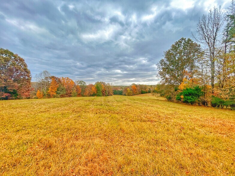 311 Highway 6 East, Oxford, MS à vendre - Photo de l’immeuble – Image 2 sur 10