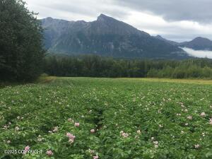 24220 E Bannon Way, Sutton, AK à vendre Photo principale– Image 1 sur 2
