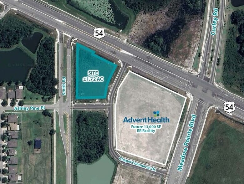 31300 State Road 54, Wesley Chapel, FL à vendre - Photo de l’immeuble – Image 1 sur 1