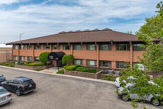 Plus de détails pour 1220-1280 Iroquois Ave, Naperville, IL - Bureau à louer