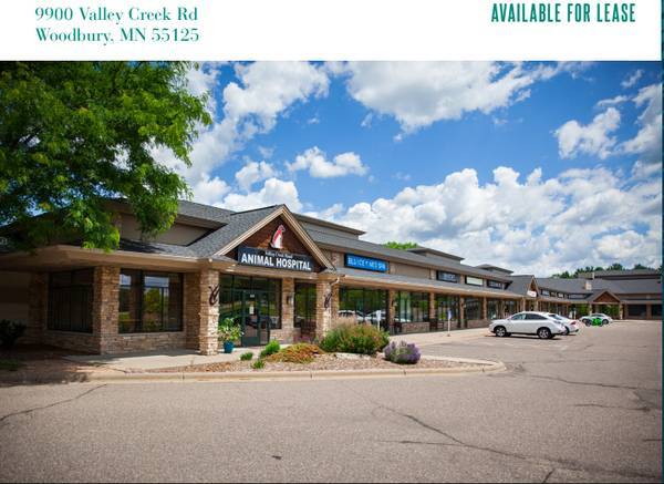 9900 Valley Creek Rd, Woodbury, MN à louer Photo de l’immeuble– Image 1 sur 8