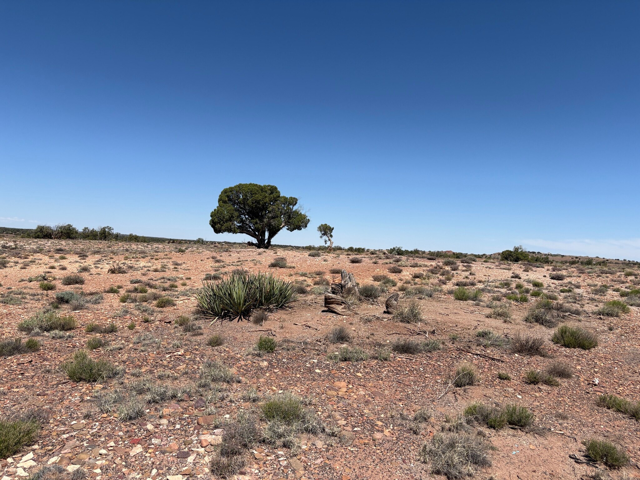 156 County Road N9146 rd, Concho, AZ à vendre Photo principale– Image 1 sur 9