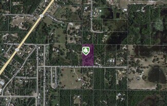 Plus de détails pour 32212 Autumn Mist Rd, Eustis, FL - Terrain à vendre