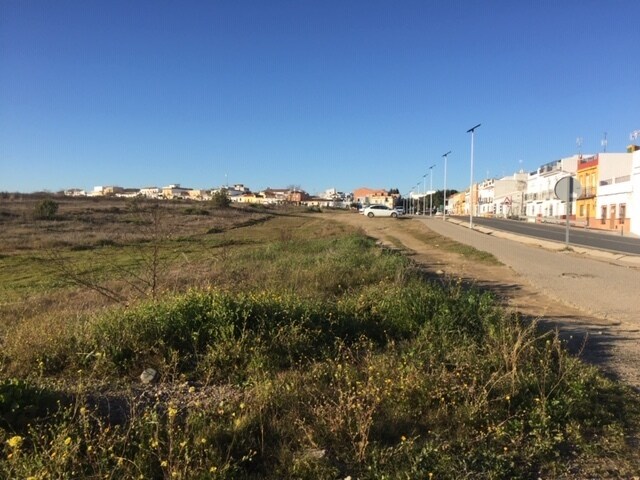 Paso Particular Oe, R5, Burguillos, Sevilla à vendre - Photo principale – Image 1 sur 10
