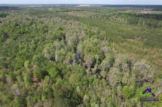 191 Acres Bethel Church Road, Eastman, GA à vendre - Aérien – Image 3 sur 20