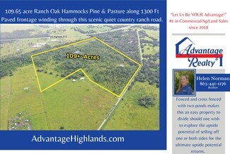 Plus de détails pour Detjens Dairy Road, Venus, FL - Terrain à vendre