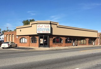 Plus de détails pour 242-248 Mannheim Rd, Bellwood, IL - Bureau/Local commercial à louer
