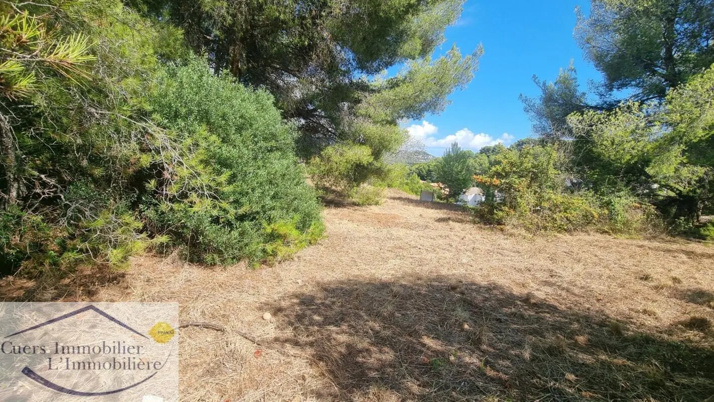 Terrain dans Carqueiranne à vendre Photo principale– Image 1 sur 1