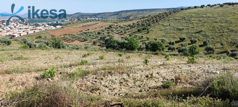 Terrain dans Huétor Vega, Granada à vendre - Photo de l’immeuble – Image 1 sur 1