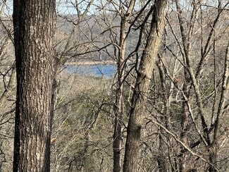 Plus de détails pour 190 Edgewater Dr, Eureka Springs, AR - Terrain à vendre