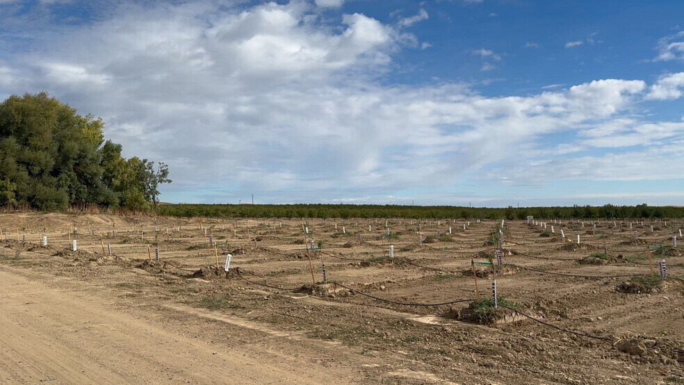 28815 County Road 12A, Esparto, CA à vendre - Vidéo sur l’annonce professionnelle – Image 2 sur 13