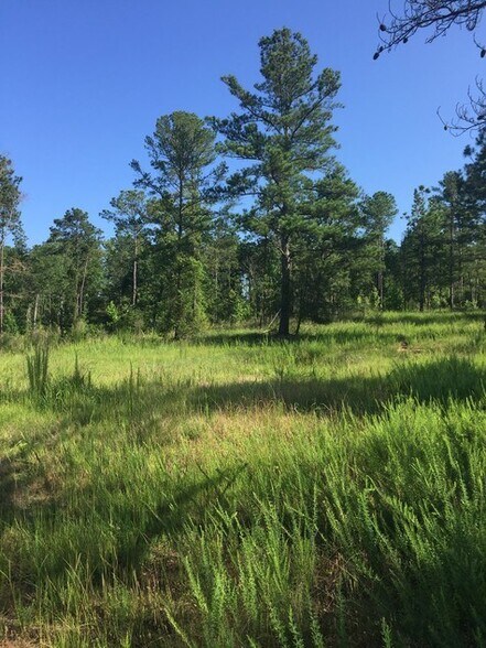 9139 Veterans Parkway, Fortson, GA à vendre - Photo principale – Image 1 sur 6