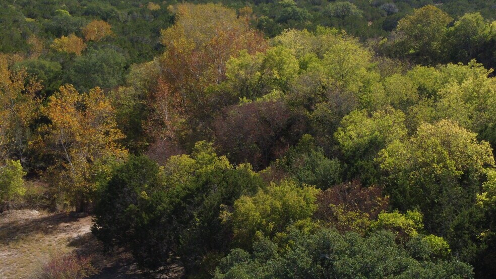 8170 N US Highway 281, Blanco, TX à vendre - Photo principale – Image 1 sur 12