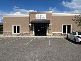Plus de détails pour 31201 US Highway 19 N, Palm Harbor, FL - Bureau/Médical à louer