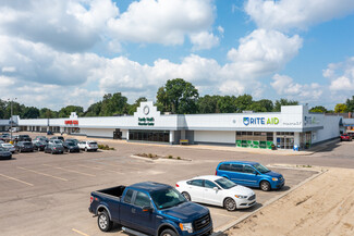 Plus de détails pour 19016-19230 Fort St, Riverview, MI - Local commercial à louer