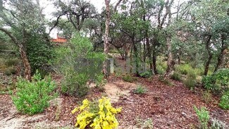 Plus de détails pour Carrer Avet, 20, Vidreres - Terrain à vendre