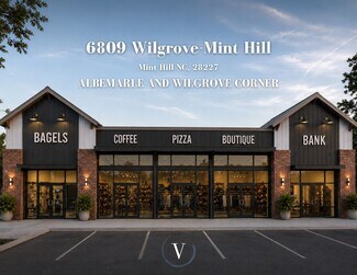 Plus de détails pour 6809 Wilgrove Mint Hill Rd, Mint Hill, NC - Local commercial à louer