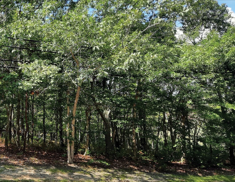 149 Montauk Hwy, Quogue, NY à vendre - Autre – Image 3 sur 3