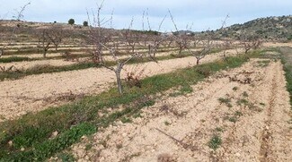 Plus de détails pour Camino de los Charquillos, Yecla - Terrain à louer