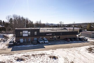 Plus de détails pour 200 Rue Michel-Lainé, Sherbrooke, QC - Industriel/Logistique à louer