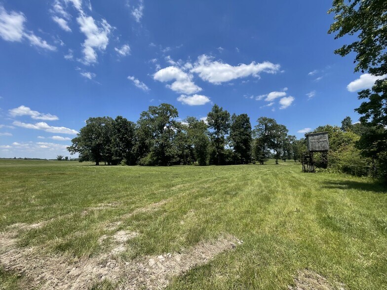 Raspberry Street & 69 hwy, Gallion, AL à vendre - Photo de l’immeuble – Image 3 sur 11