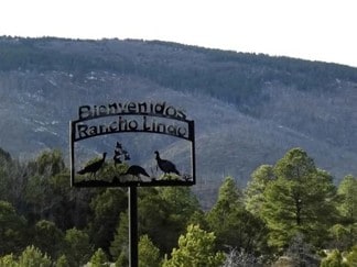 Plus de détails pour 248 Los Penetos Rd, Torreon, NM - Terrain à vendre