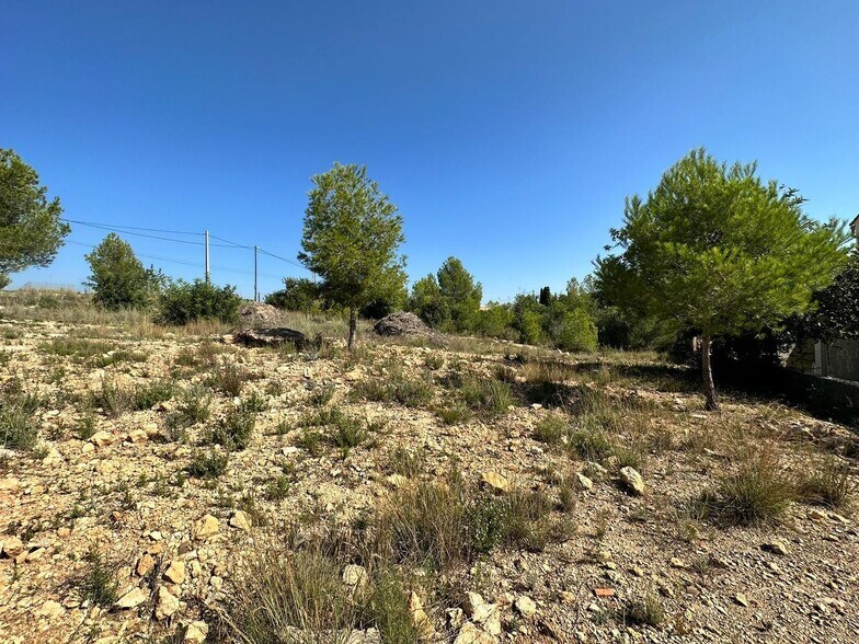 Terrain dans Catadau, Valencia à vendre - Photo principale – Image 2 sur 11