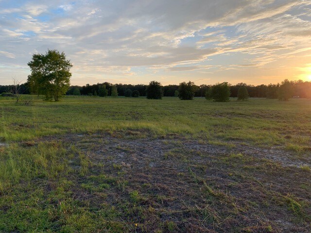 0 County Road 677, Webster, FL à vendre - Autre – Image 3 sur 4