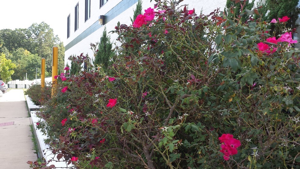 11441 Robertson Dr, Manassas, VA à louer - Photo de l’immeuble – Image 3 sur 4