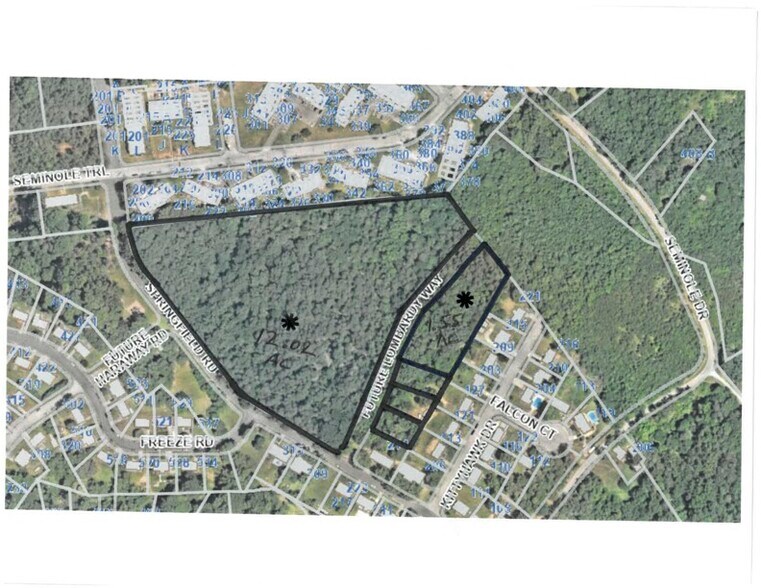 Springfield Road, Danville, VA à vendre - Aérien – Image 2 sur 4