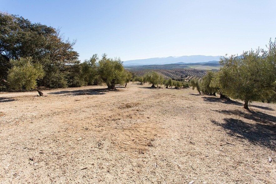 Poligono, 2 Parcela 276 Y, Campotéjar, Granada à vendre - Plan de site – Image 3 sur 30