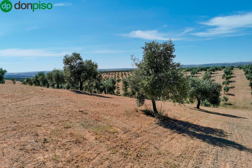 Llano Salviar Polígono, 13, Parcela: 20, Huelma, Jaén à vendre - Aérien – Image 3 sur 8