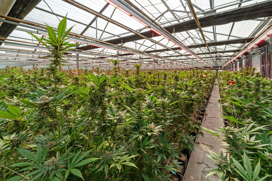 5360 Foothill Rd, Carpinteria, CA à vendre - Photo de l’immeuble – Image 3 sur 7