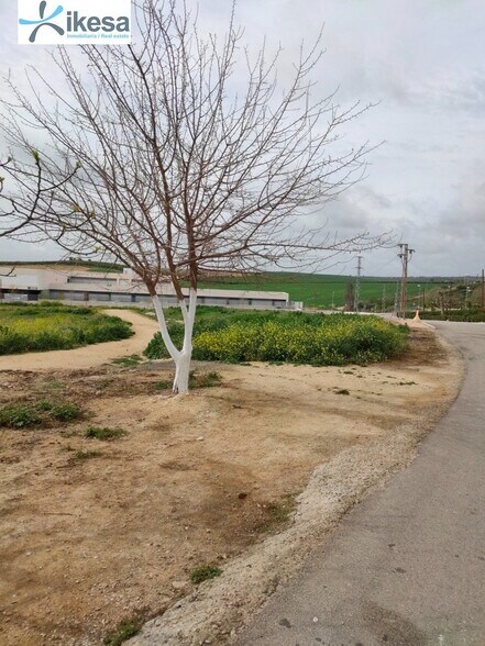 Terrain dans Burguillos, Sevilla à vendre - Photo de l’immeuble – Image 1 sur 21