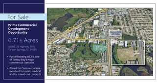 Plus de détails pour 44098 US Highway 19 N, Tarpon Springs, FL - Terrain à vendre